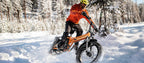 Foldable E-bike Up to 100Mile - 35mph - Low Stock